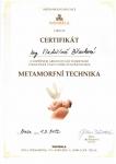 Metamorfní technika